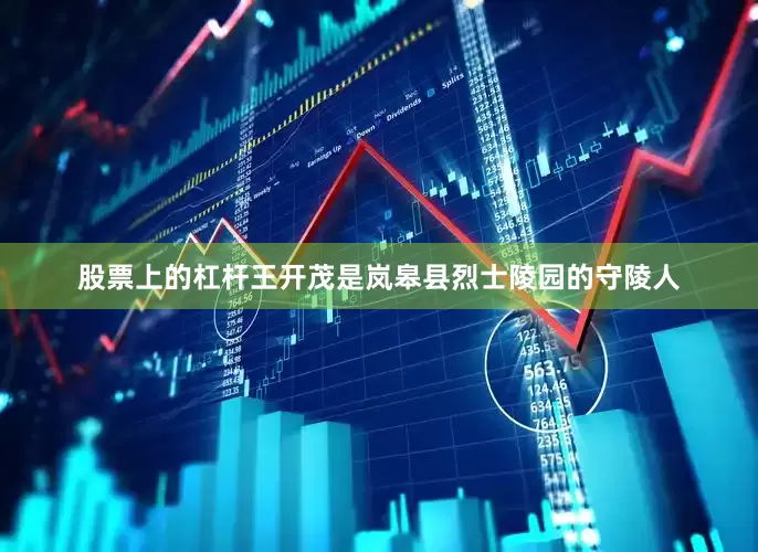 股票上的杠杆王开茂是岚皋县烈士陵园的守陵人