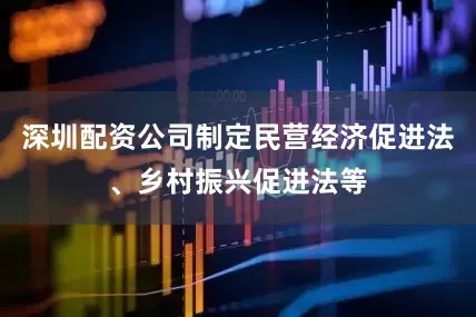 深圳配资公司制定民营经济促进法、乡村振兴促进法等