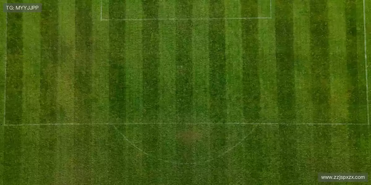 🏀巅峰对决,见证冠军诞生的荣耀瞬间!🏆